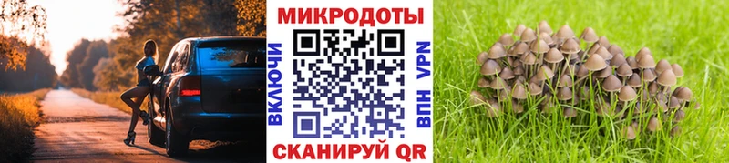 Псилоцибиновые грибы Psilocybe сколько стоит Нарьян-Мар